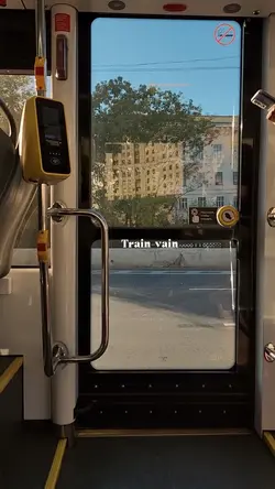 Train-vain