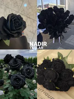 İstek şablon