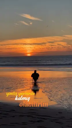 Çaresiz Yalnızlık