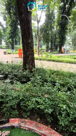morning jogging