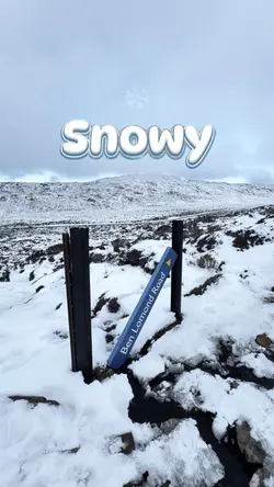 Snowy day