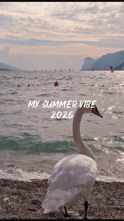 Summer 2026 Reels