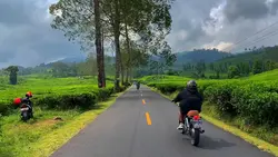 Slow mo trend 
