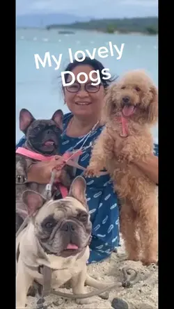 My lovely dogs