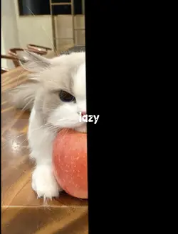 Lazy Confession