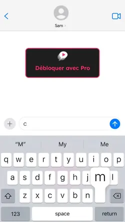 fausse conversation