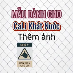 Cali Khát Nước