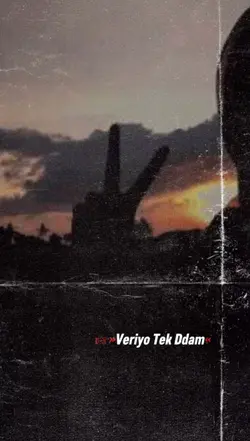 Tek Adam