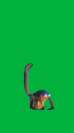 Kermit 