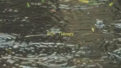 Rain Therapy