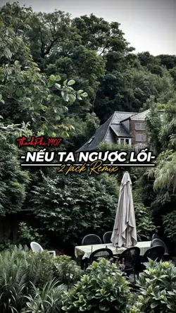 NTNL REMIX 