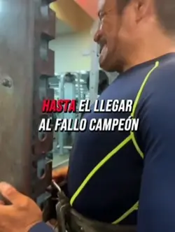 Al fallo 
