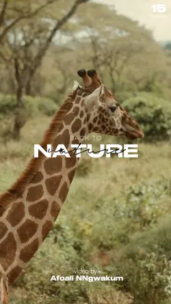 Holiday nature