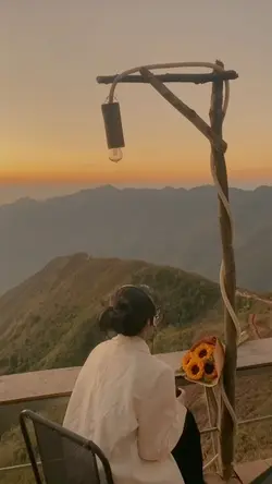 Video aesthetic