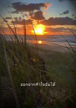 ไม่สามารถลบคุณได้ |2รูป