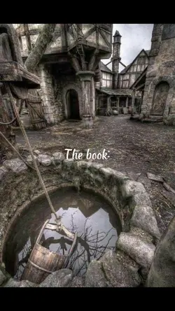 The writer the book