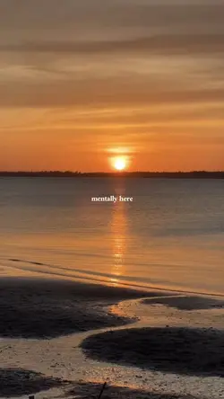 beach template