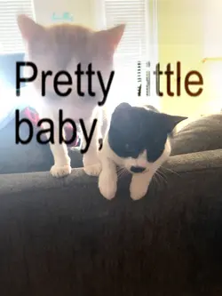 pretty little baby 