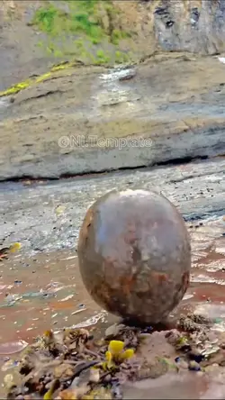 Stone Surprise 🪨