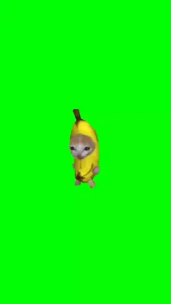 banana cat