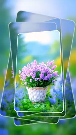 Nature Flowers 