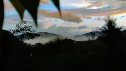 alam
