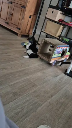 chat