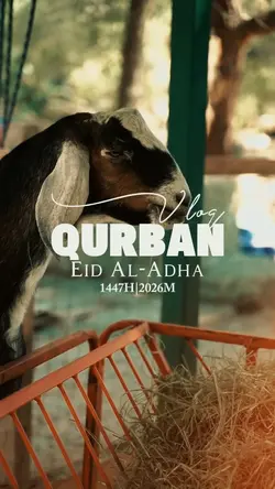 qurban