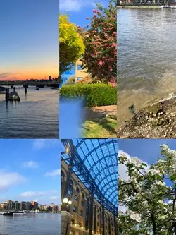 6grid template 