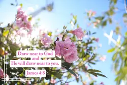 Thank you Lord 
