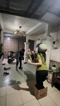 plant vs zombie