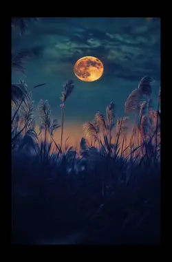 Golden Moon