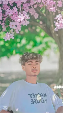 34 pic used dj song 