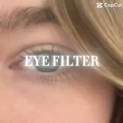 Eye filter 