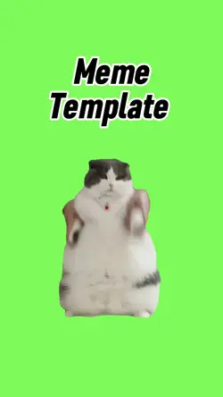 Dancing cat