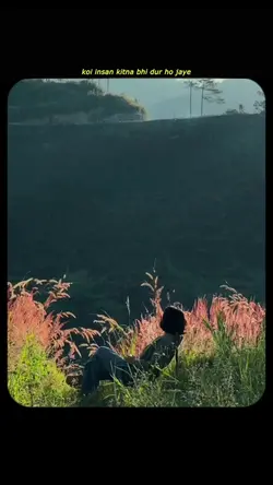 Sad lines