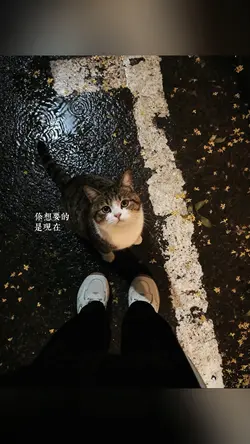 Lyrics + Màu