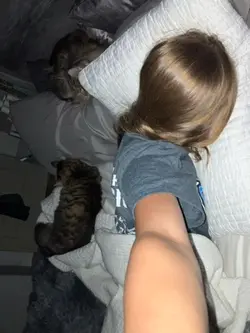 …