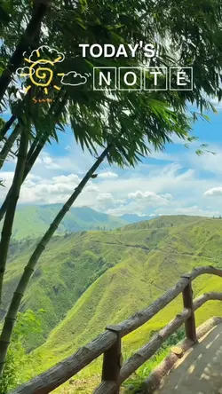 𝗟𝗲𝘁𝘁𝗶𝗻𝗴 𝗴𝗼