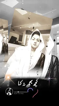 کچھ بھی نہ کہا 