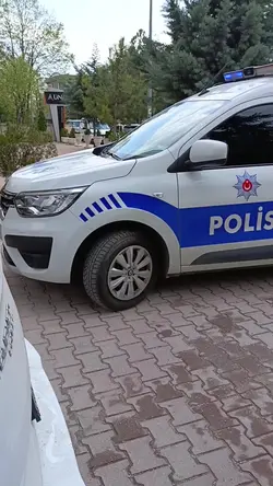 tilki