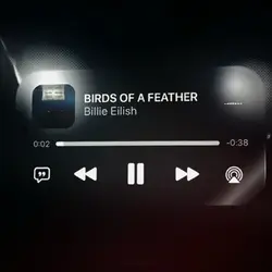 BIRDS OF A FEATHER