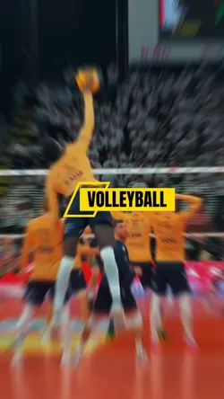 VOLLEYBALL