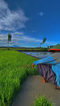 Aku Cah Kerjo