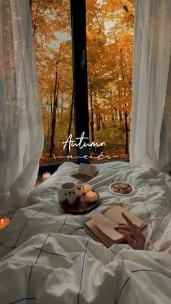 autumn moments