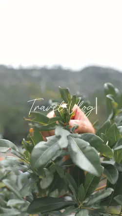 Travel Vlog V1
