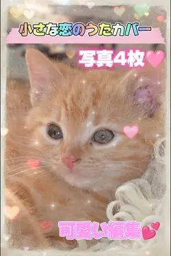 小さな恋のうた　写真4枚