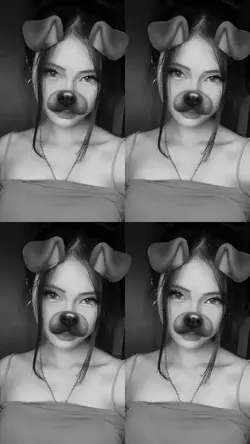 filter dog 