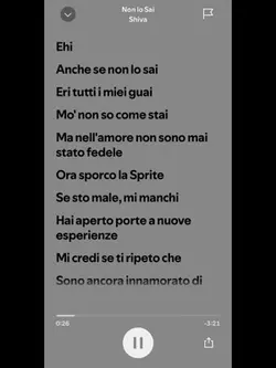 NON LO SAI 