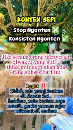 ngonten